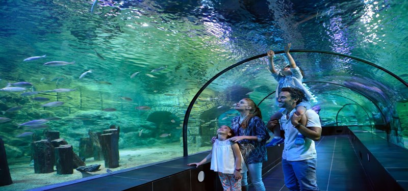 ViaPort Marina Outlet AVM