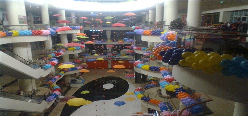 Zeyland AVM
