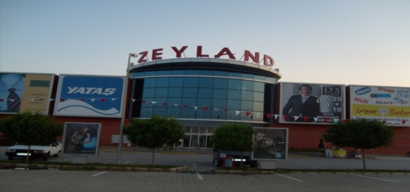 Zeyland AVM