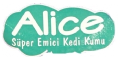 Alice 