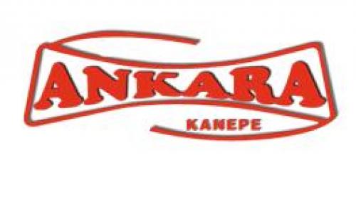 Ankara Kanepe Koltuk