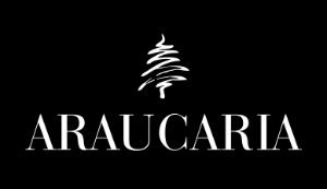 Araucaria