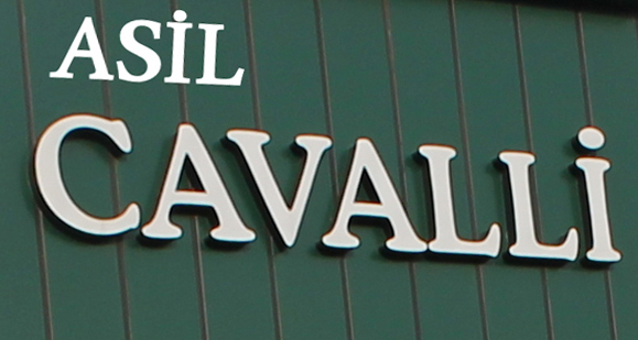 Asil Cavalli