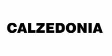 Calzedonia