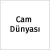 Cam Dünyası