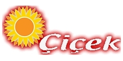 Çiçek Yayınları 