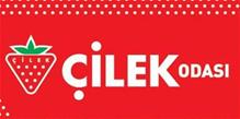 ÇİLEK MOBİLYA