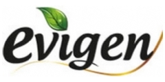 Evigen 