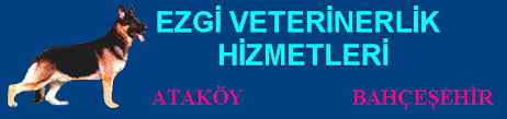 EZGİ VETERİNERLİK