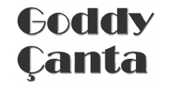 Goddy Çanta 