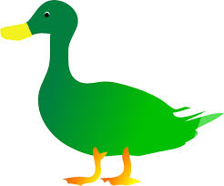 GREEN DUCK