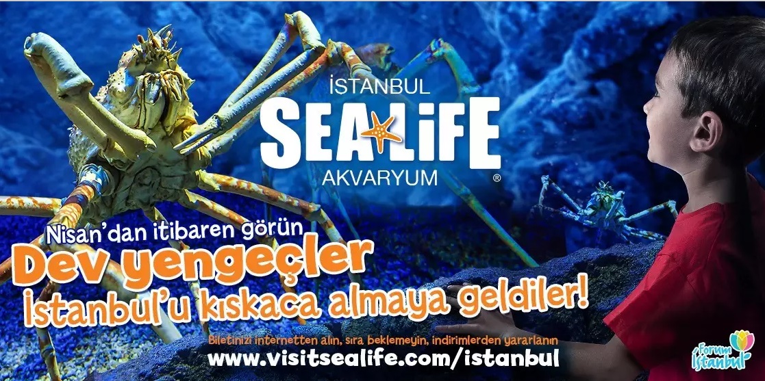 Forum İstanbul AVM`de Sea Life Akvaryumda Dev Yengeçler 