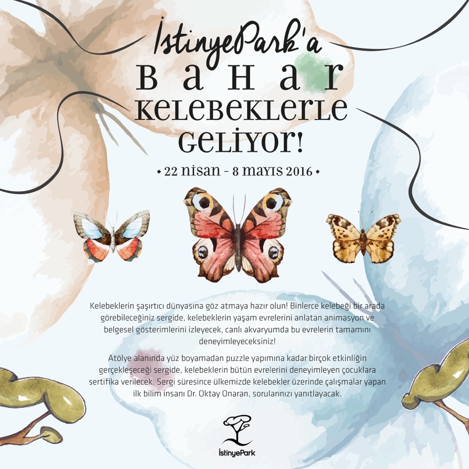 İstinye Park AVM `de Kelebek Sergisi 