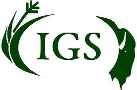 İGS