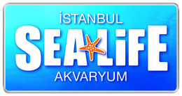 İstanbul Sea Life Akvaryum