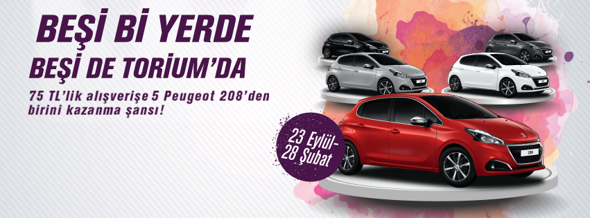 Torium AVM `den 5 Peugeot 208 