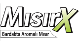 MISIRCI  N-CITY AVM