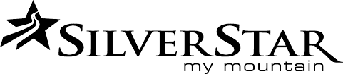 MY SİLVER