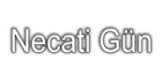 NECATİ GÜN