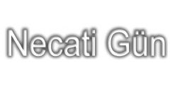 NECATİ GÜN OLİVE CITY AVM