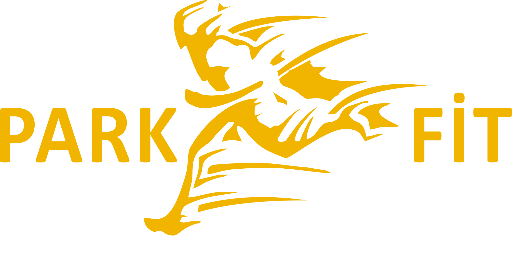 PARK FİT İZMİR PARK AVM MAĞAZASI