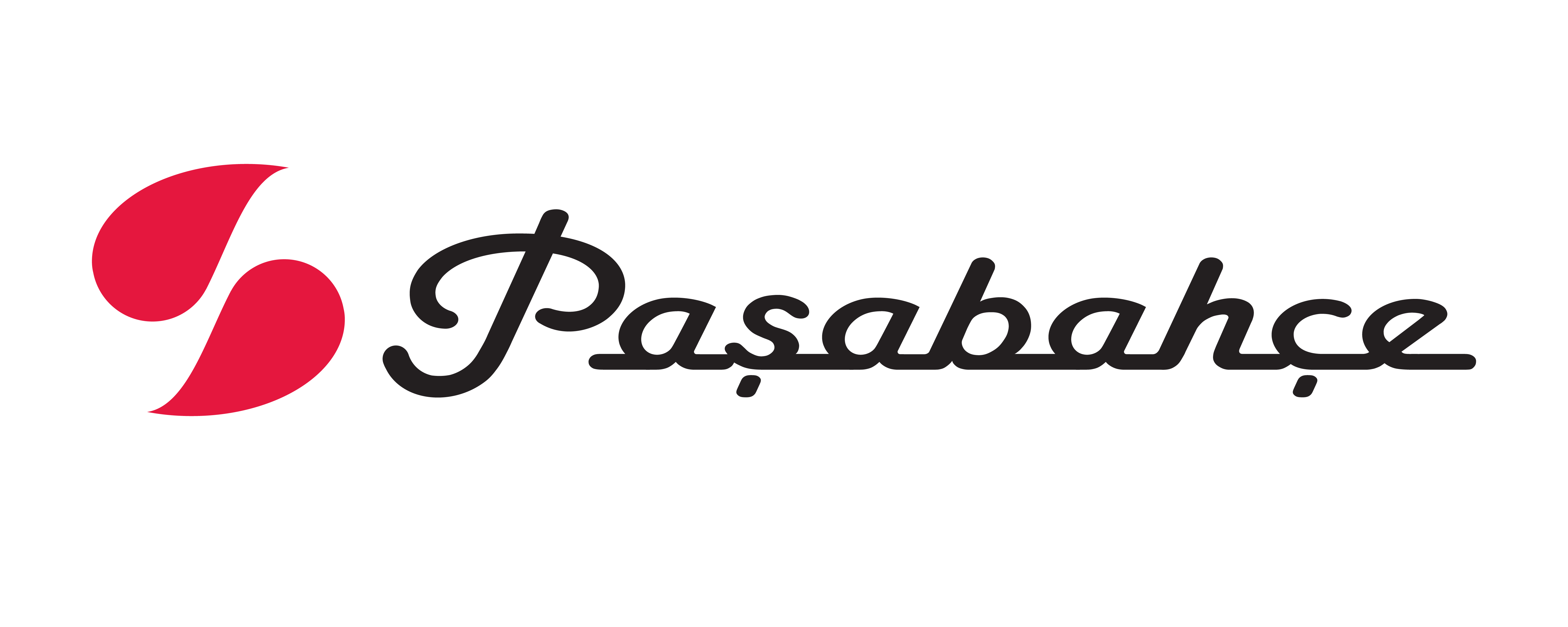 PAŞABAHÇE