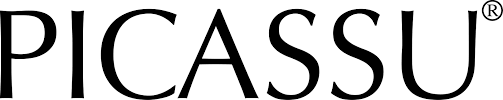 PİCASSU  N-CITY AVM  Alışveriş Merkezi 