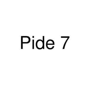 Pide 7