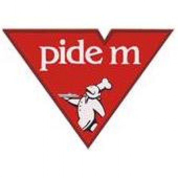 PiDEM