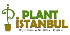 Plantistanbul 