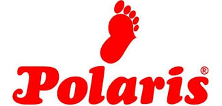 POLARİS