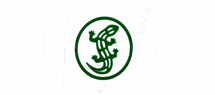 Salmander Anahtar