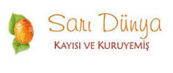 SARI DÜNYA KAYISI
