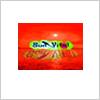 Sun Vital Solarium