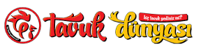 Tavuk Dünyası