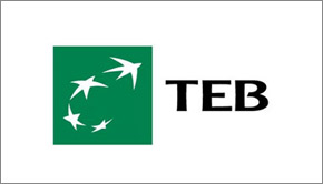 Teb