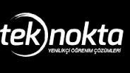 TEK NOKTA
