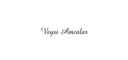 VEYSİ AMCALAR WEDDİNG WORLD