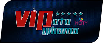 Vip Oto Yıkama