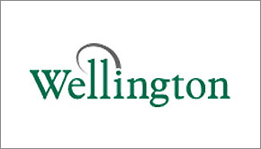 Wellington Motor