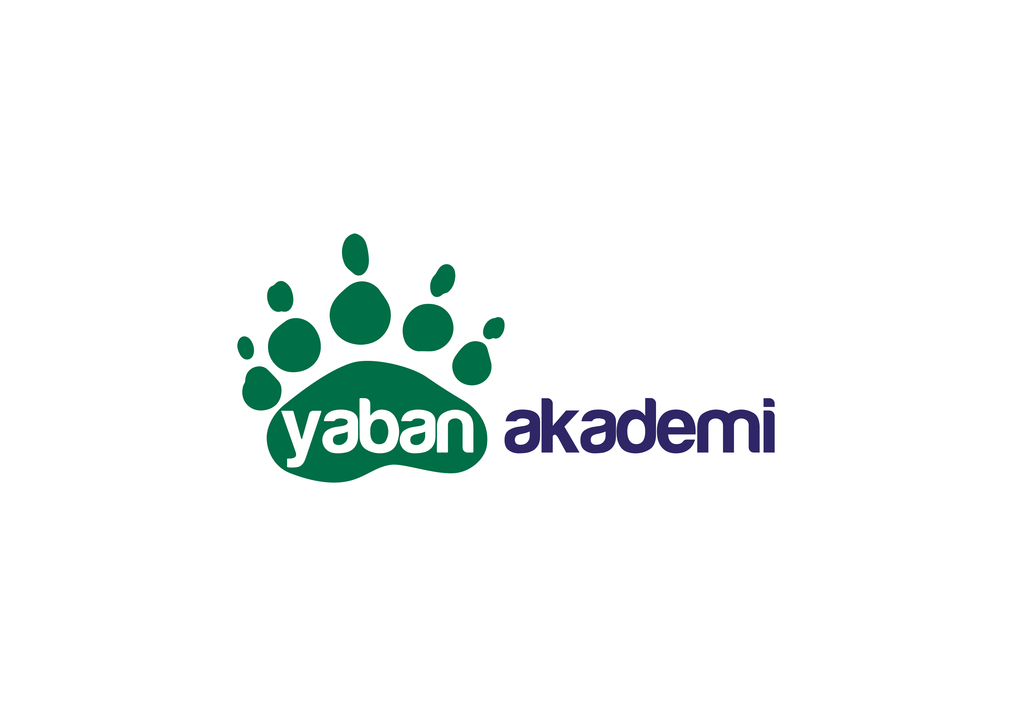 Yaban akademi